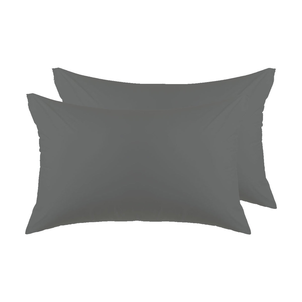 EC 200TC - Egyptian Cotton Iron